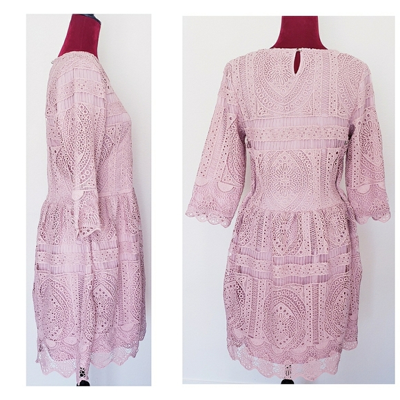 HIDDEN ALLEY PINK LACE EYELET DRESS - Picture 3 of 5